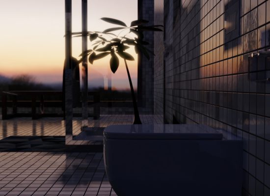 Virtual bathroom